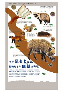すぐ足もとには、動物たちの痕跡がある