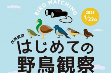 はじめての野鳥観察