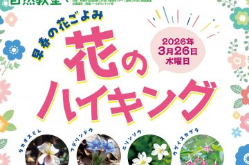 2026年3月26日花のハイキング募集のお知らせ