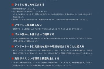 ムササビ観察マナー