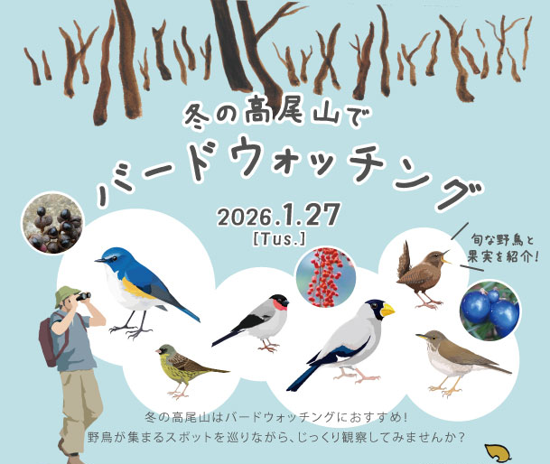 自然教室「冬の高尾山でバードウォッチング」