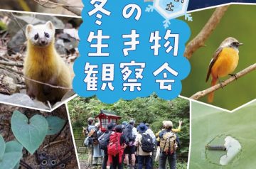 冬の生きもの観察会