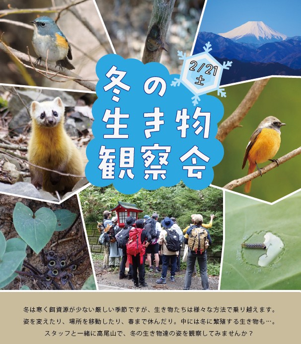冬の生きもの観察会