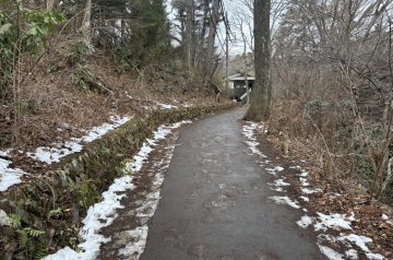 薬王院奥之院～山頂の間(2/13)