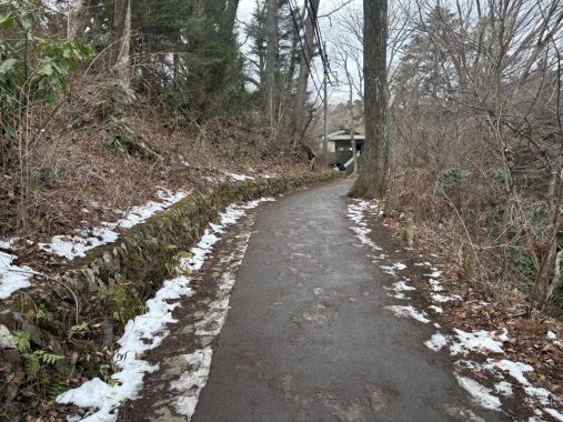 薬王院奥之院～山頂の間(2/13)