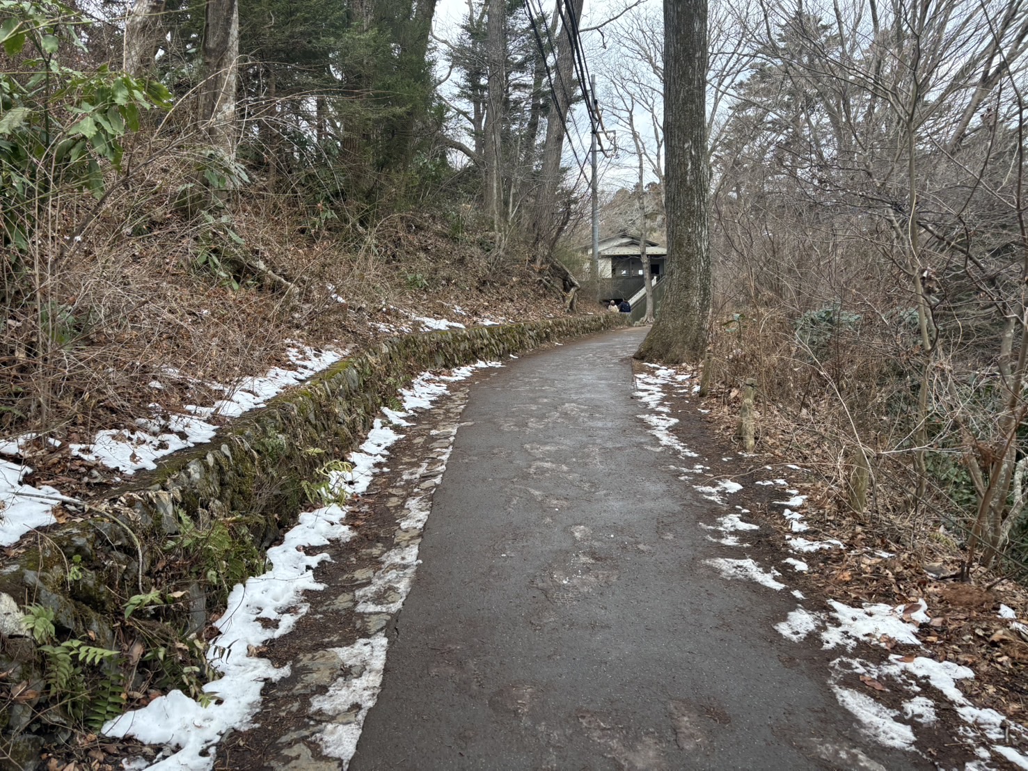 薬王院奥之院～山頂の間(2/13)