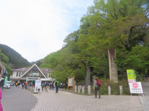 4/12清滝駅の桜は葉桜