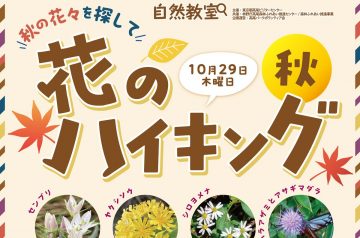 花のハイキング秋募集のお知らせ