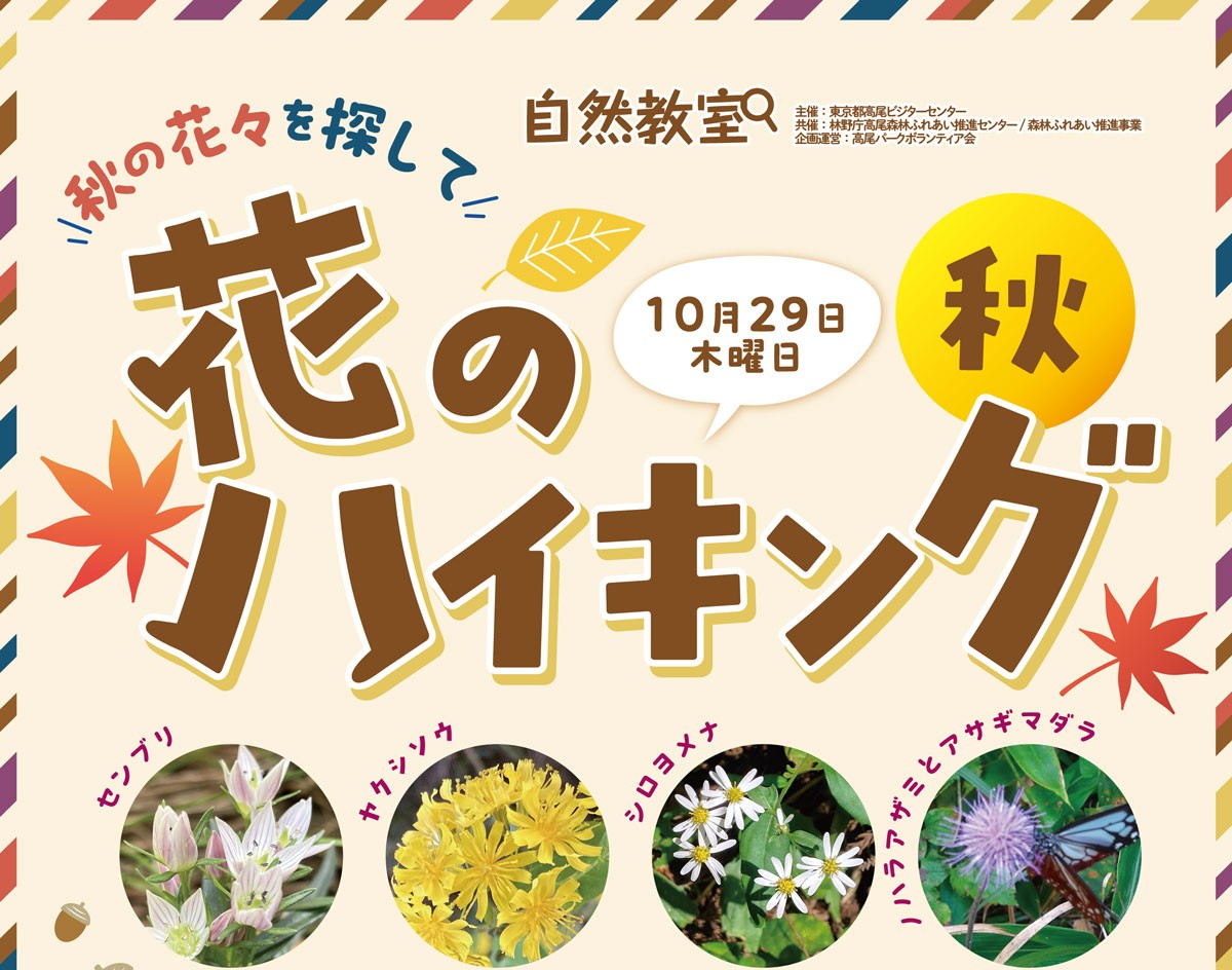 花のハイキング秋募集のお知らせ